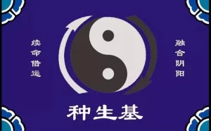 伏羲文王三元不败风水种生基延寿秘法-道学极客